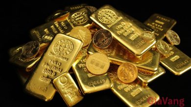 Giá Vàng Sáng Ngày 3/11: Vàng Miếng Tiếp Tục Giảm Giá 6 Giá Vàng Sáng Ngày 3/11: Vàng Miếng Tiếp Tục Giảm Giá