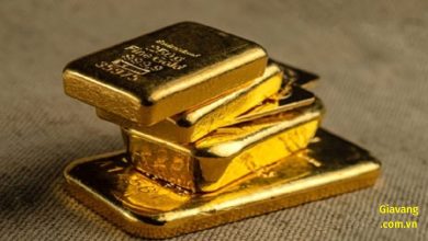 Triển vọng kinh tế 2024 cho Giá Vàng tại Mỹ: Nhận Định của Wells Fargo và Cơ Hội Đầu Tư 7 Triển vọng kinh tế 2024 cho Giá Vàng tại Mỹ: Nhận Định của Wells Fargo và Cơ Hội Đầu Tư