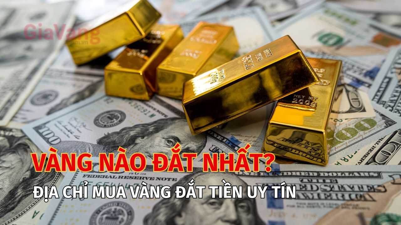 Vàng nào đắt nhất hiện nay? Địa chỉ mua vàng đắt tiền uy tín