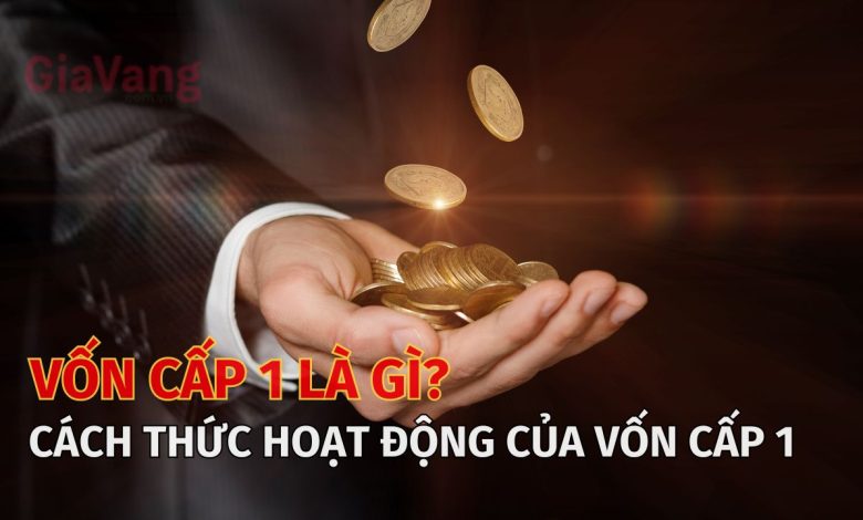 Vốn cấp 1 là gì? Sự khác biệt giữa vốn cấp 1 và vốn cấp 2 1 Vốn cấp 1 là gì? Sự khác biệt giữa vốn cấp 1 và vốn cấp 2