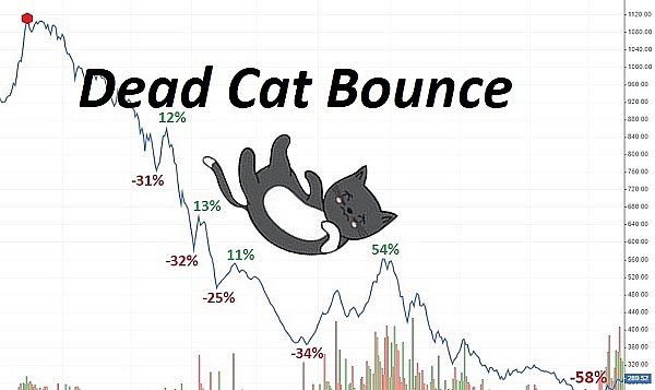 Cách tránh bẫy Dead Cat Bounce