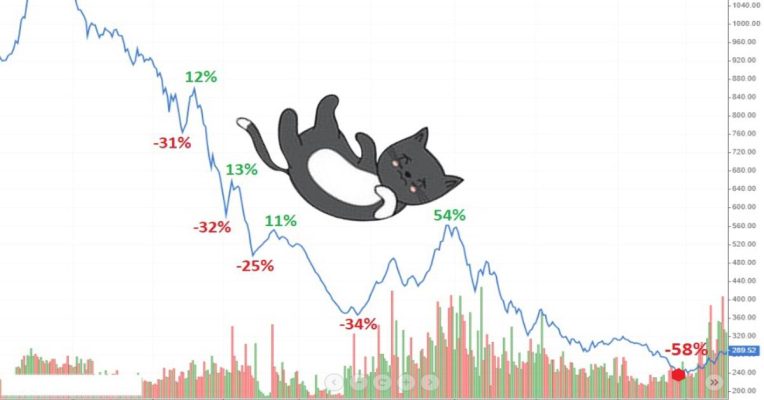 Cách nhận biết bẫy Dead cat bounce trong chứng khoán