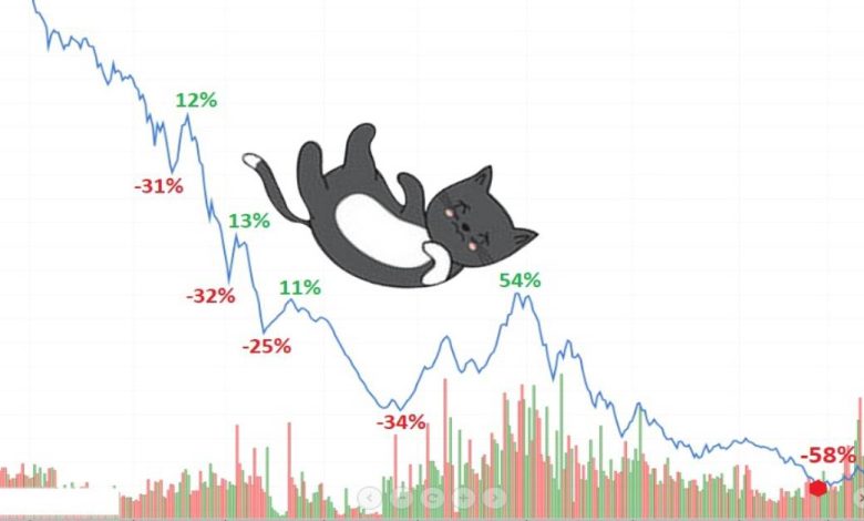 Cách nhận biết bẫy Dead cat bounce trong chứng khoán