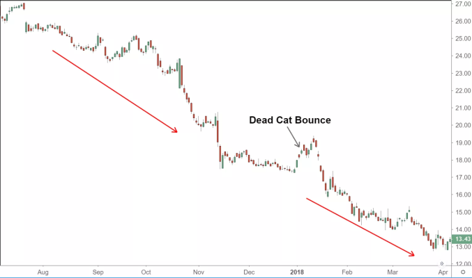 Cách nhận biết bẫy Dead cat bounce trong chứng khoán