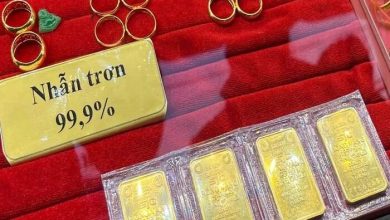 Giá vàng hôm nay 20/09: Đảo chiều tăng 7 Giá vàng hôm nay 20/09: Đảo chiều tăng